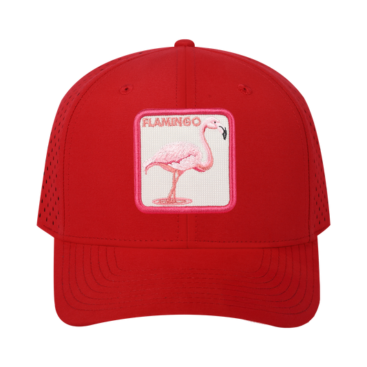 HAVINA WHOLESALE
