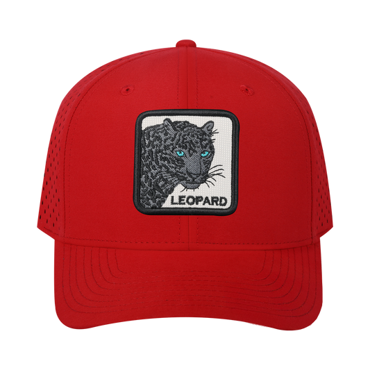 HAVINA WHOLESALE