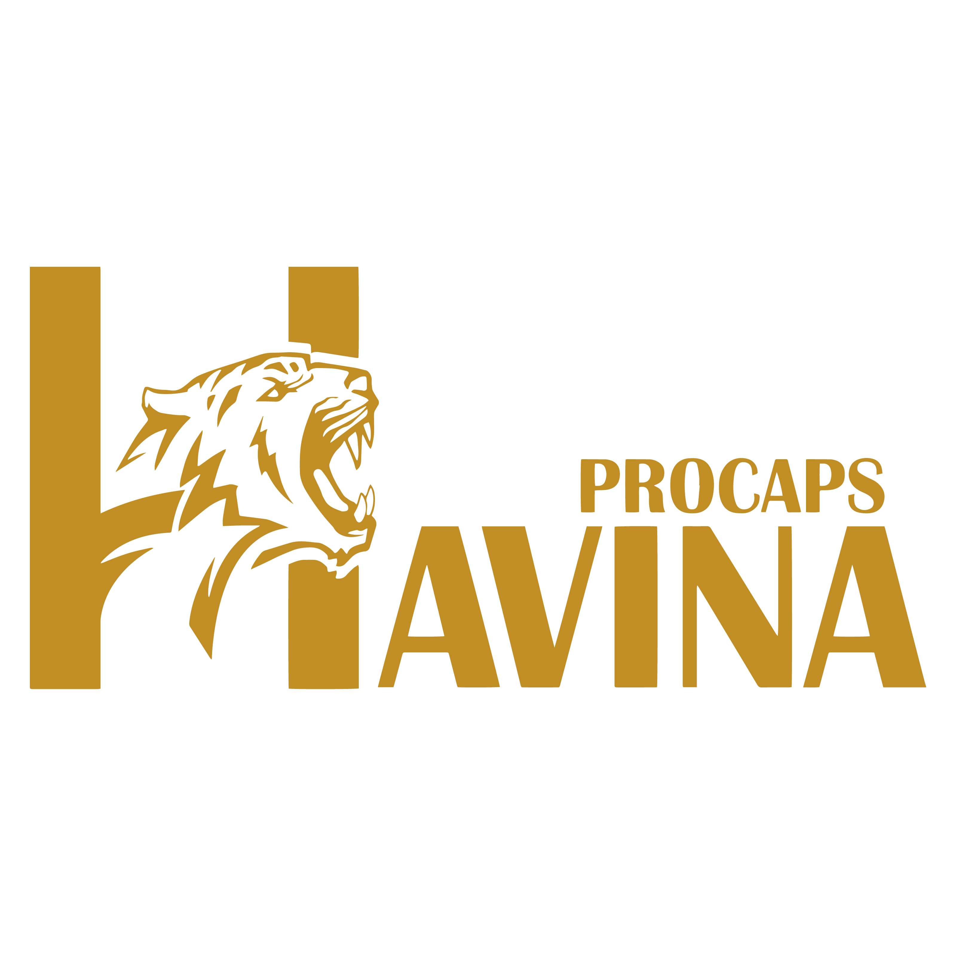 Havina Promotion And Caps Corporation – Havina Pro Caps Store