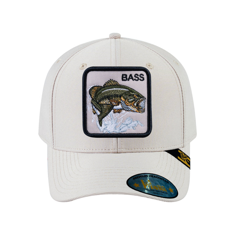 The Bass Fish