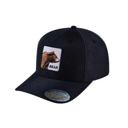 Bear V2 6-Panel Baseball Cap with Black front and Black back