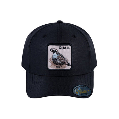 Quail V2 6-Panel Baseball Cap with Black front and Black back