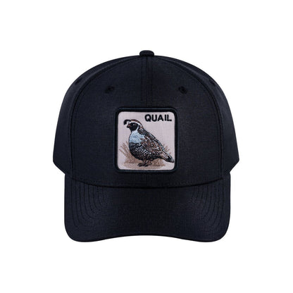 Quail V2 6-Panel Baseball Cap with Black front and Black back