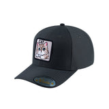 Cat V2 6-Panel Baseball Cap with Dark Grey front and Dark Grey back