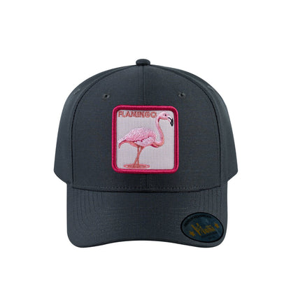 HAVINA WHOLESALE