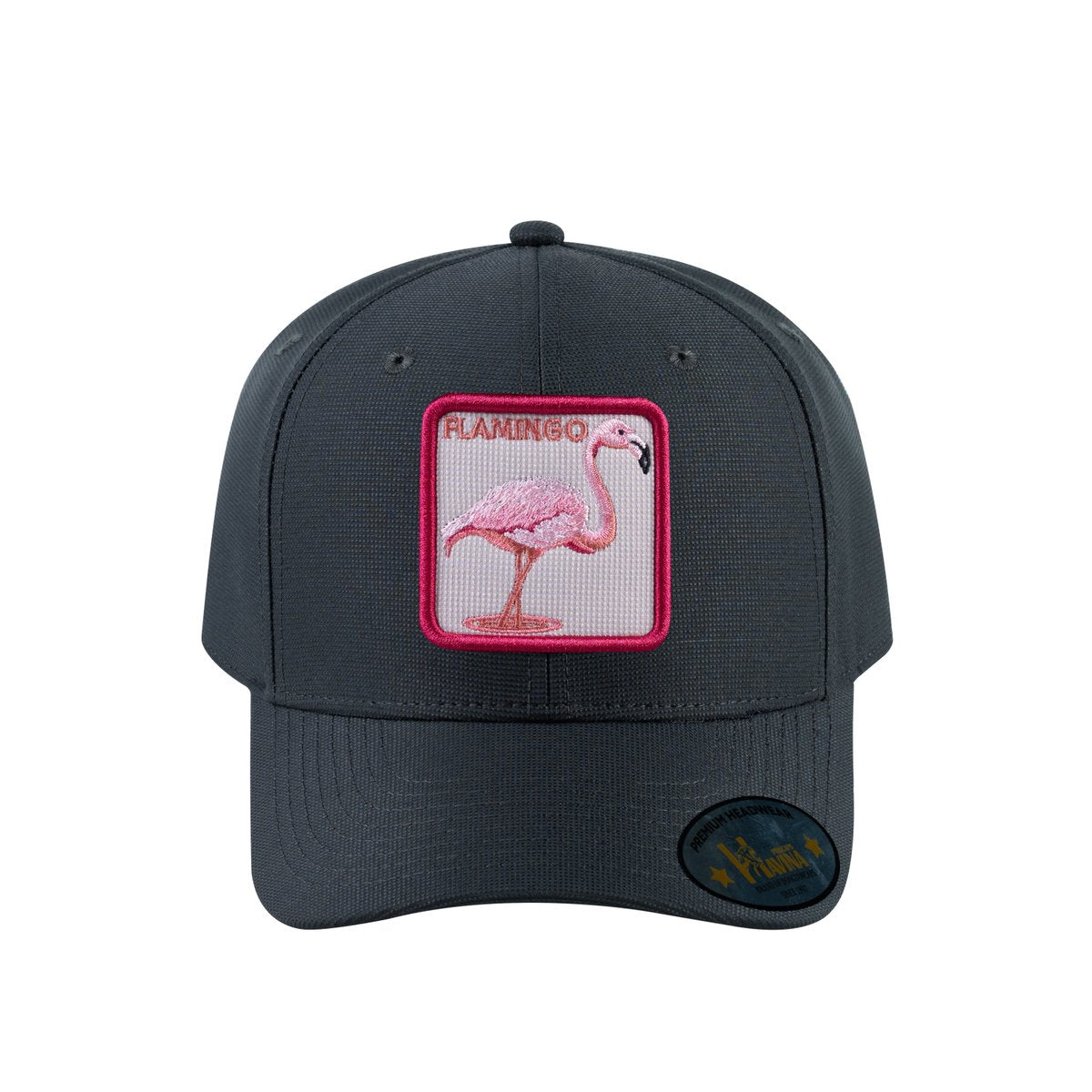 Flamingo V2 6-Panel Baseball Cap with Dark Grey front and Dark Grey back