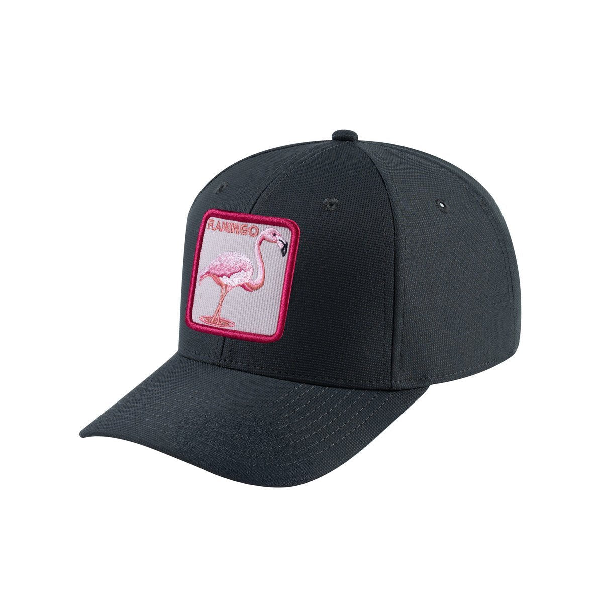 Flamingo V2 6-Panel Baseball Cap with Dark Grey front and Dark Grey back