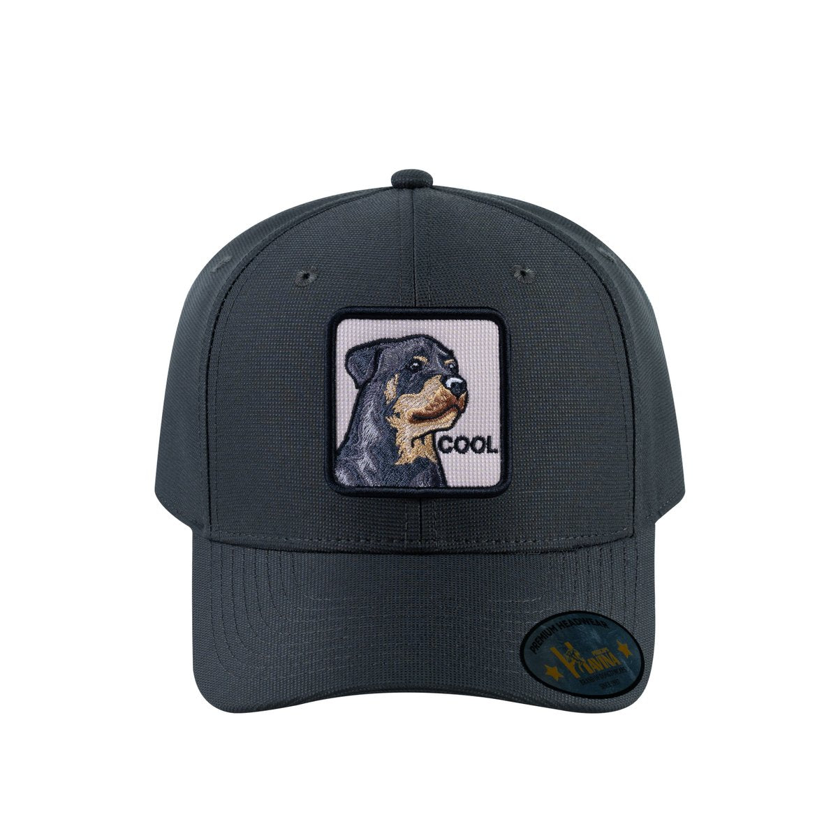 Dog V2 6-Panel Baseball Cap with Dark Grey front and Dark Grey back