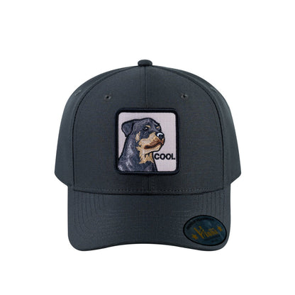 Dog V2 6-Panel Baseball Cap with Dark Grey front and Dark Grey back