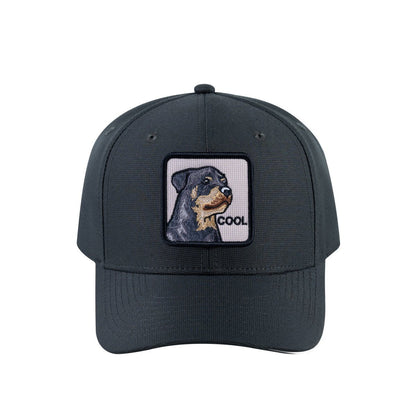 Dog V2 6-Panel Baseball Cap with Dark Grey front and Dark Grey back