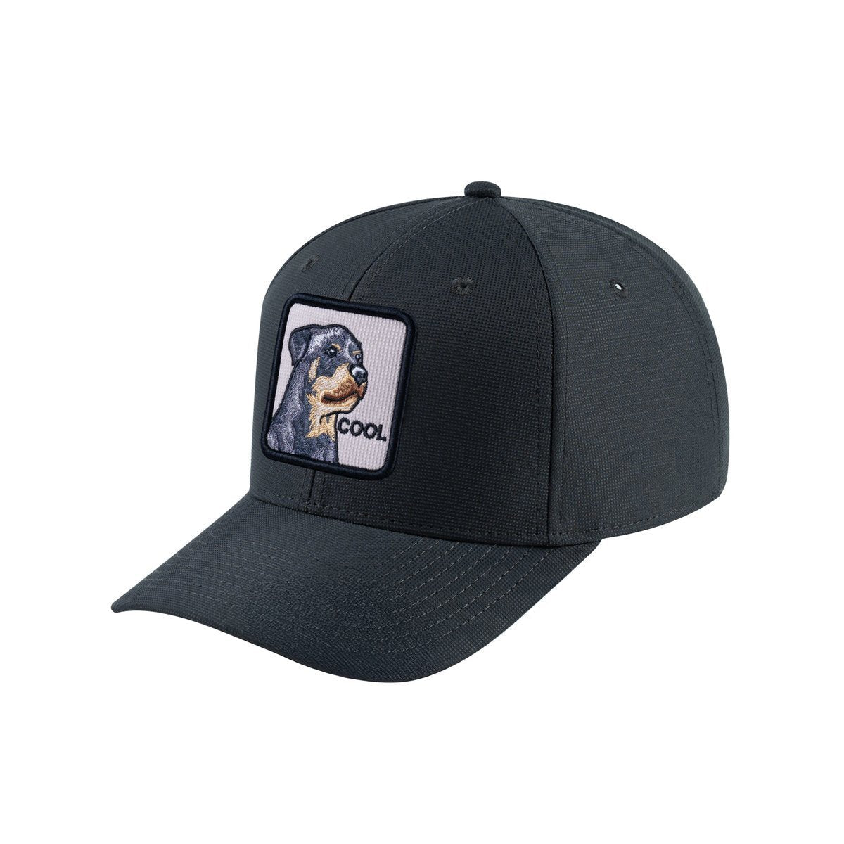 Dog V2 6-Panel Baseball Cap with Dark Grey front and Dark Grey back