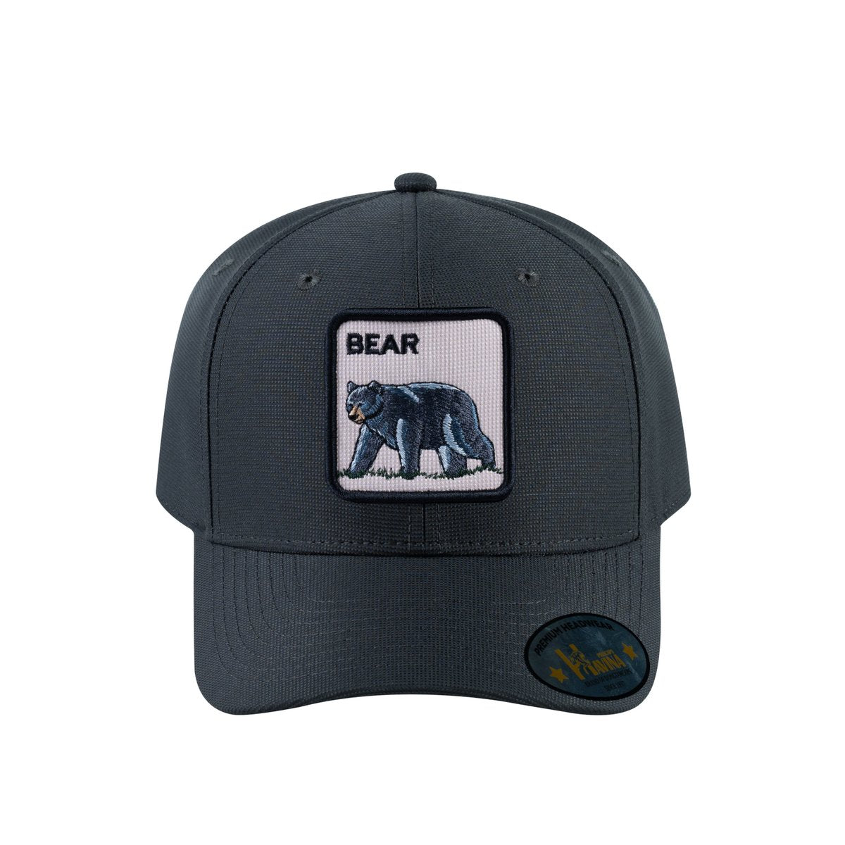 Bear V2 6-Panel Baseball Cap with Dark Grey front and Dark Grey back