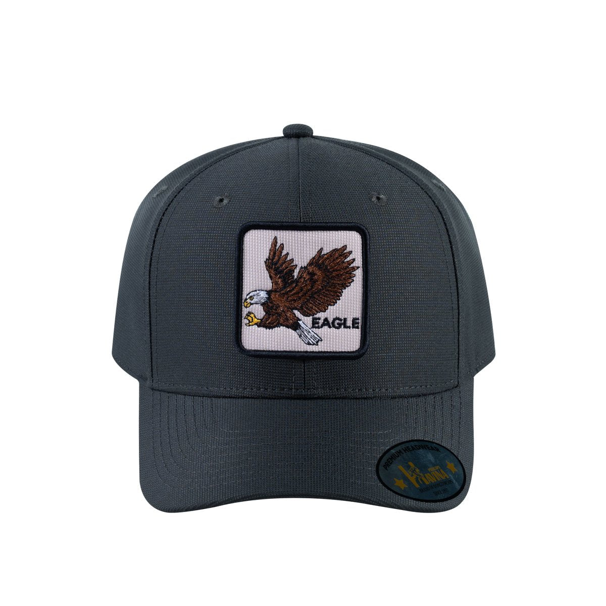 Eagle V2 6-Panel Baseball Cap with Dark Grey front and Dark Grey back