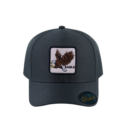 Eagle V2 6-Panel Baseball Cap with Dark Grey front and Dark Grey back