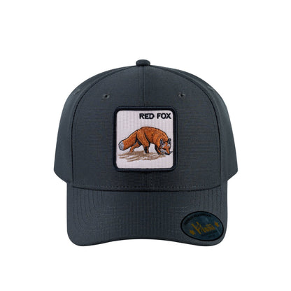 Red Fox V2 6-Panel Baseball Cap with Dark Grey front and Dark Grey back