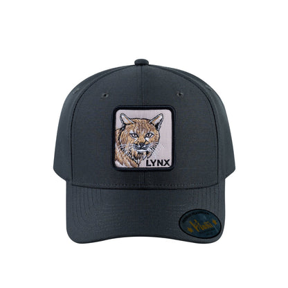 Lynx V2 6-Panel Baseball Cap with Dark Grey front and Dark Grey back