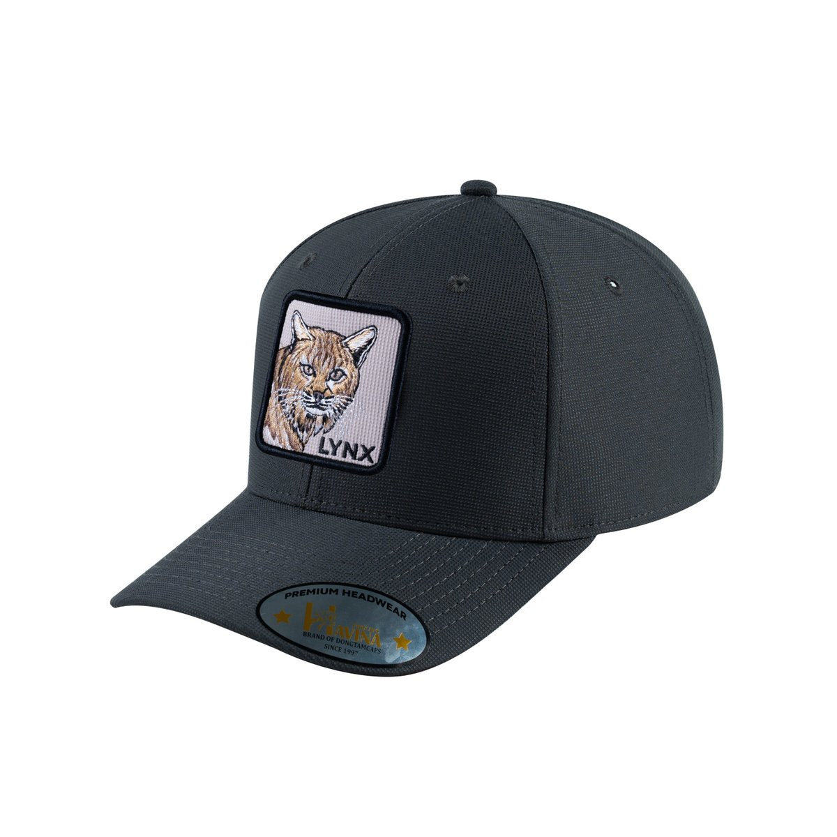 Lynx V2 6-Panel Baseball Cap with Dark Grey front and Dark Grey back