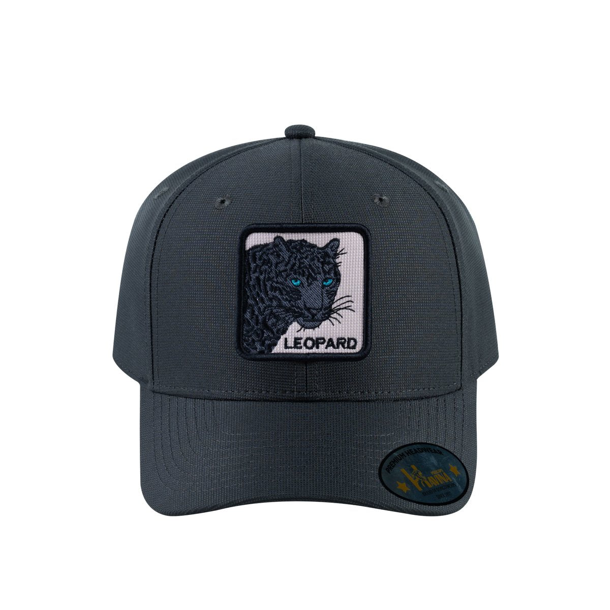 Leopard V2 6-Panel Baseball Cap with Dark Grey front and Dark Grey back