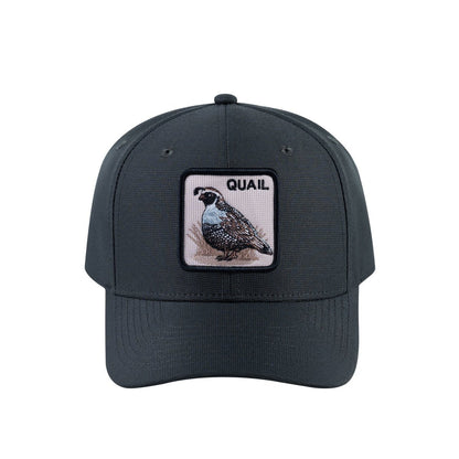 Quail V2 6-Panel Baseball Cap with Dark Grey front and Dark Grey back