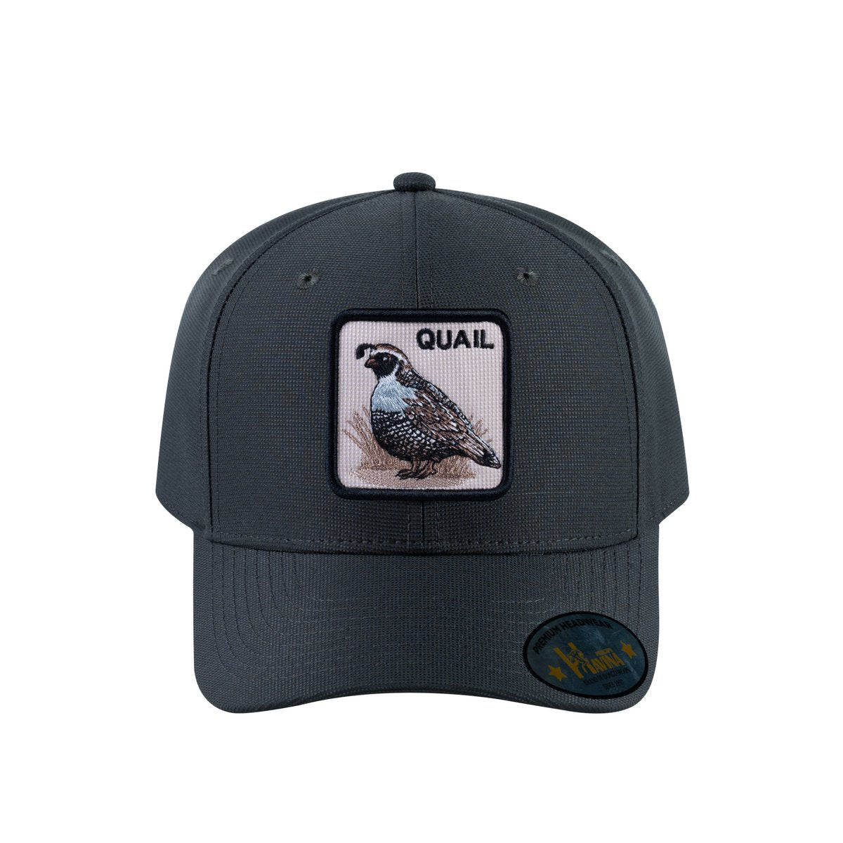 Quail V2 6-Panel Baseball Cap with Dark Grey front and Dark Grey back