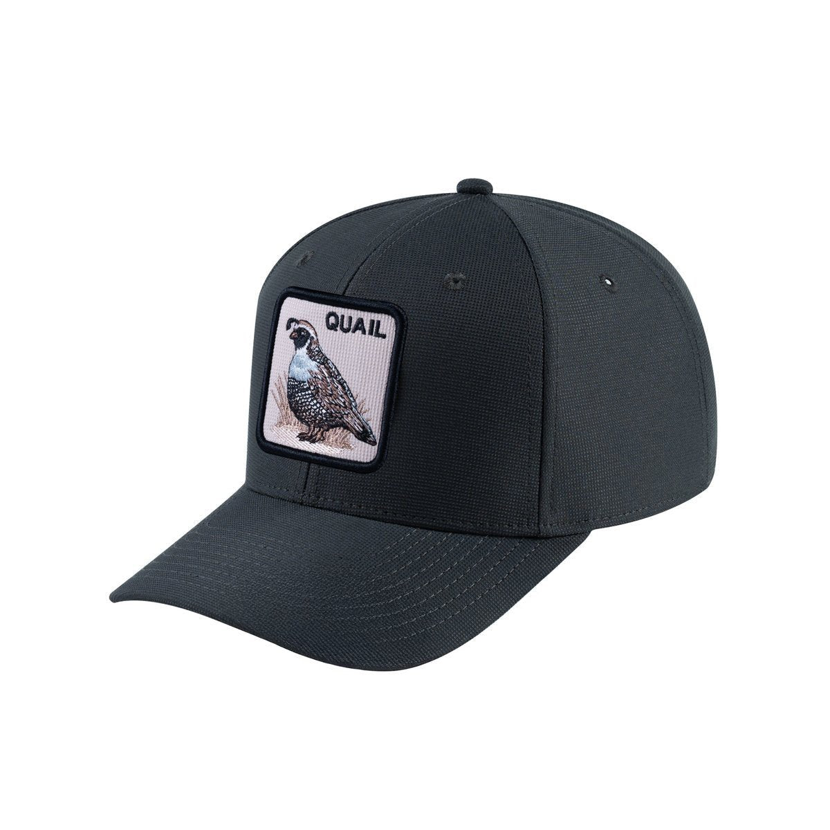 Quail V2 6-Panel Baseball Cap with Dark Grey front and Dark Grey back