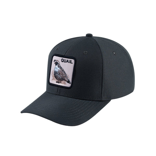 Quail V2 6-Panel Baseball Cap with Dark Grey front and Dark Grey back