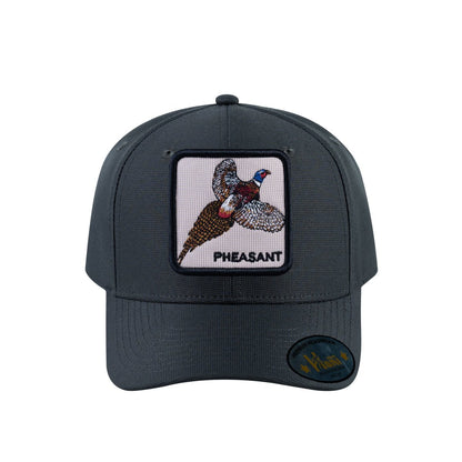 Pheasant V2 6-Panel Baseball Cap with Dark Grey front and Dark Grey back