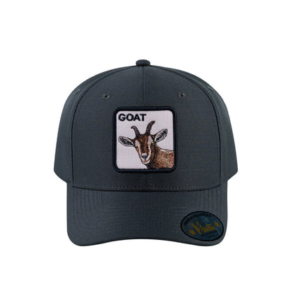 Goat V2 6-Panel Baseball Cap with Dark Grey front and Dark Grey back