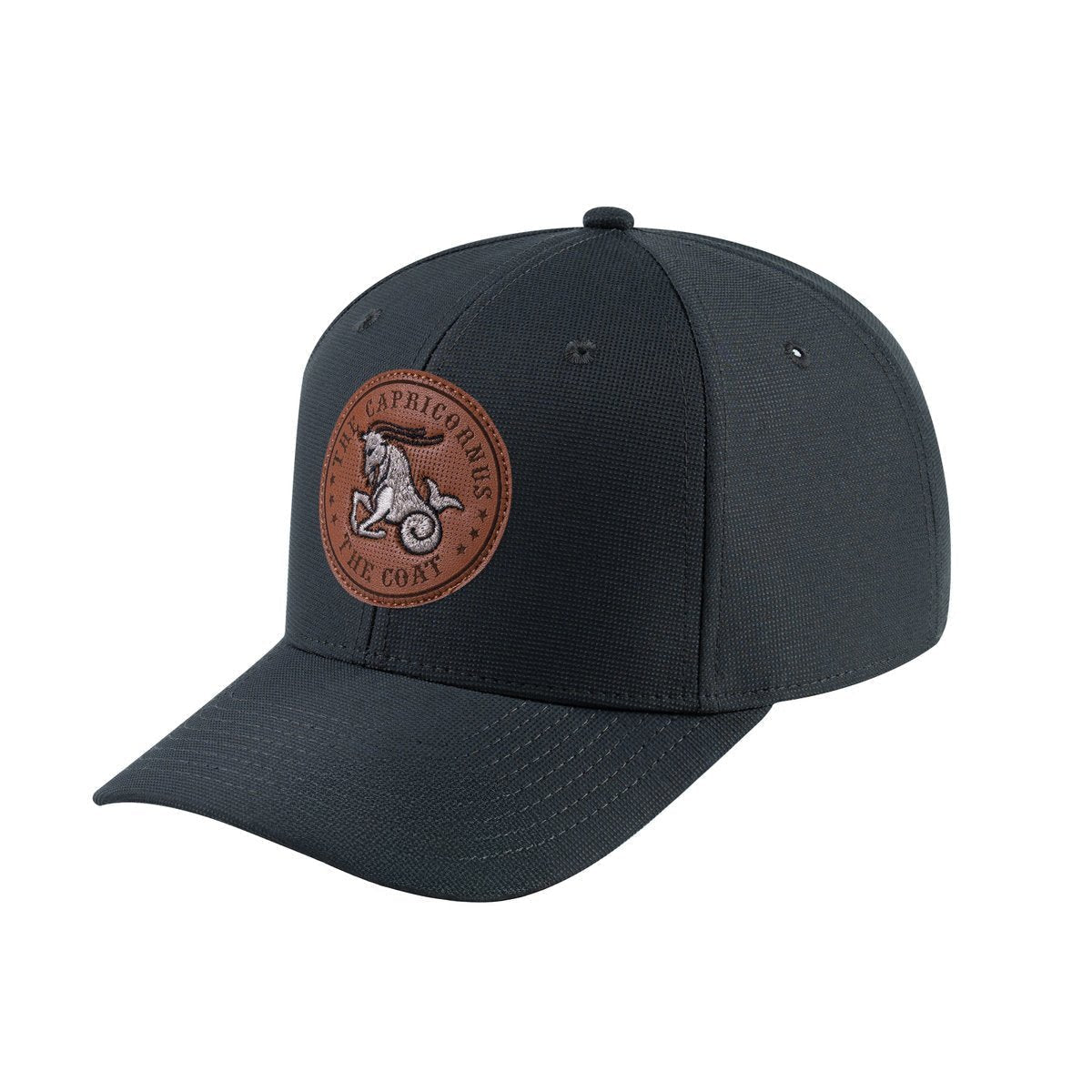 Capricorn Zodiac V2 6-Panel Baseball Cap with Dark Grey front and Dark Grey back