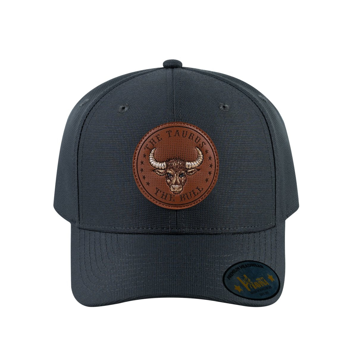 Taurus Zodiac V2 6-Panel Baseball Cap with Dark Grey front and Dark Grey back