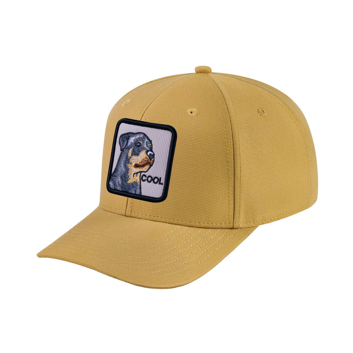 Dog V2 6-Panel Baseball Cap with Khaki front and Khaki back