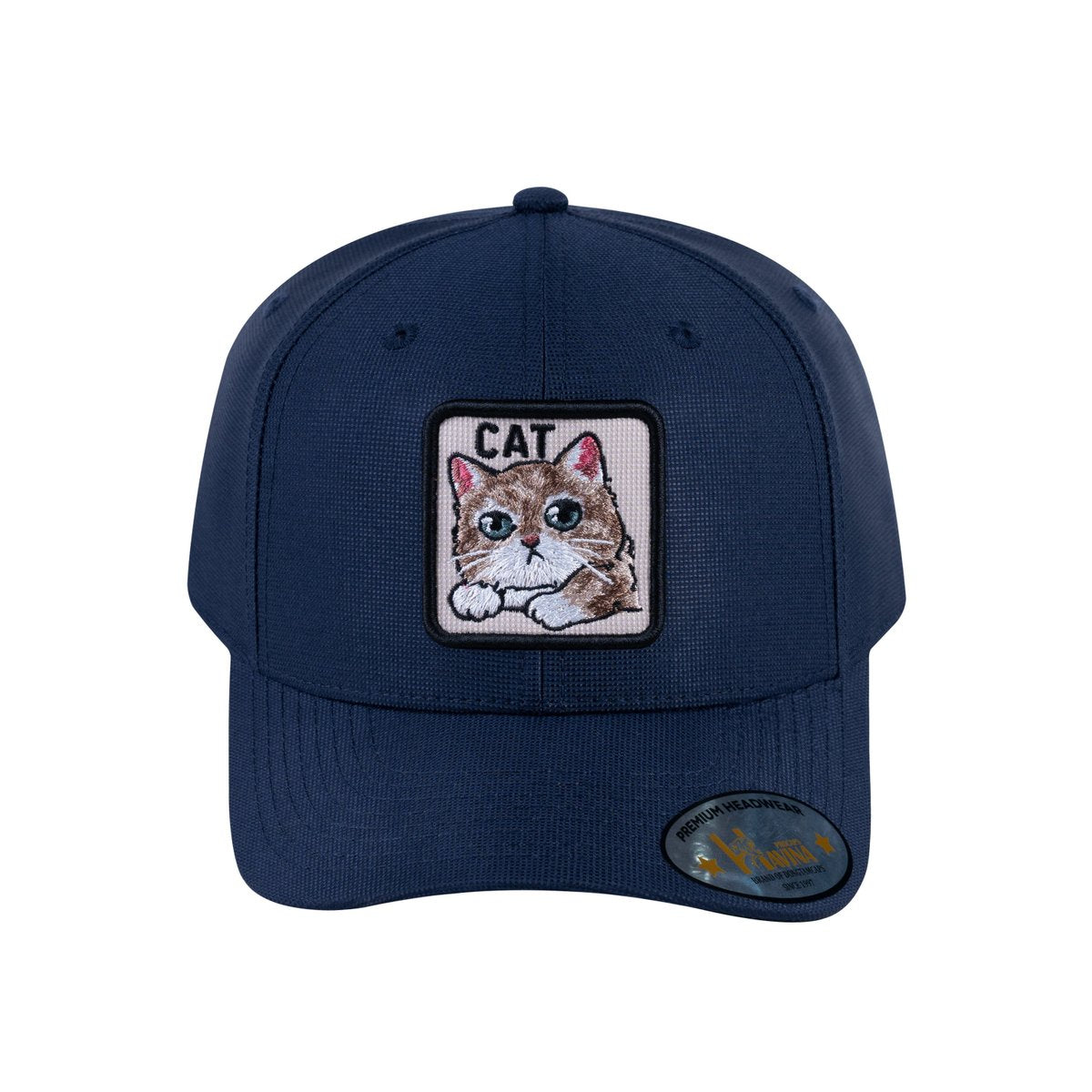 Cat V2 6-Panel Baseball Cap with Navy front and Navy back