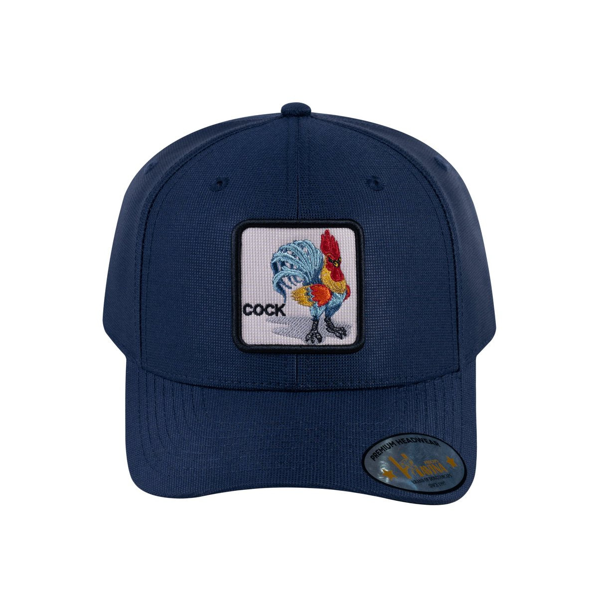Chicken V2 6-Panel Baseball Cap with Navy front and Navy back