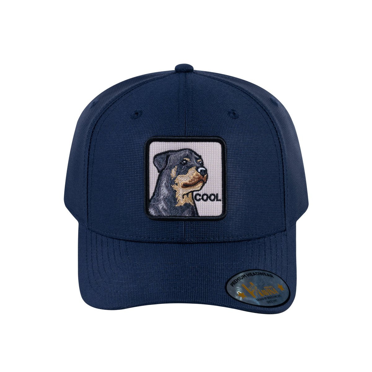 Dog V2 6-Panel Baseball Cap with Navy front and Navy back