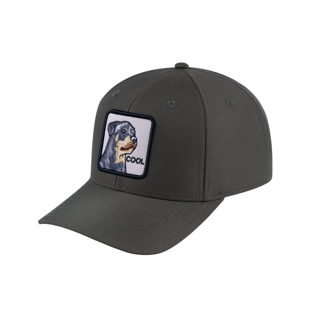 Dog V2 6-Panel Baseball Cap with Olive front and Olive back