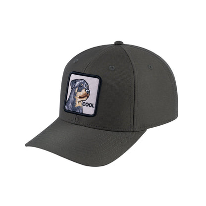 Dog V2 6-Panel Baseball Cap with Olive front and Olive back