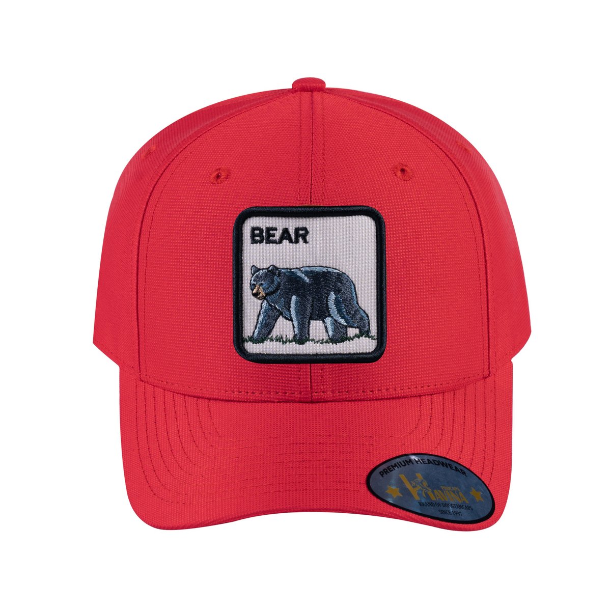 Bear V2 6-Panel Baseball Cap with Red front and Red back