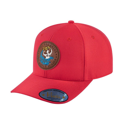 Aquarius Zodiac V2 6-Panel Baseball Cap with Red front and Red back