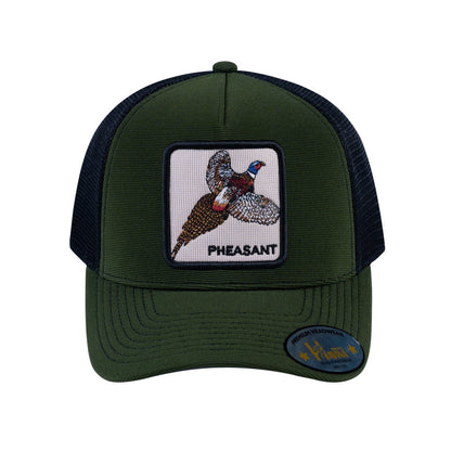 HAVINA WHOLESALE
