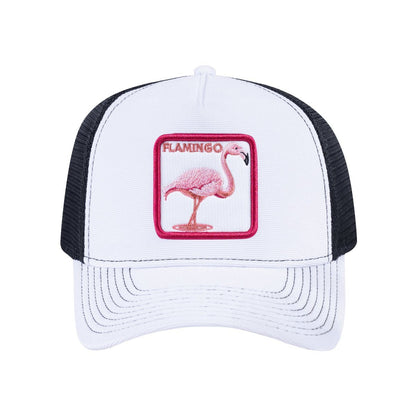 HAVINA WHOLESALE