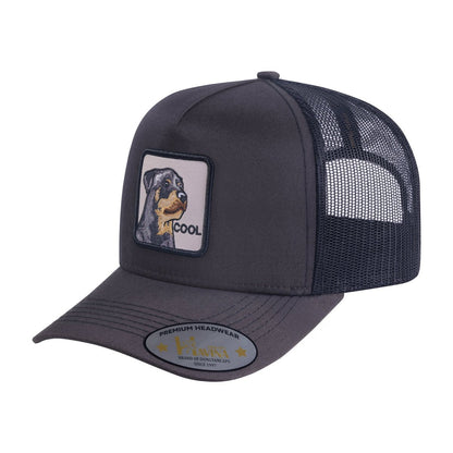 Cool Dog 5-Panel Trucker Hat with Dark Grey front and Black back