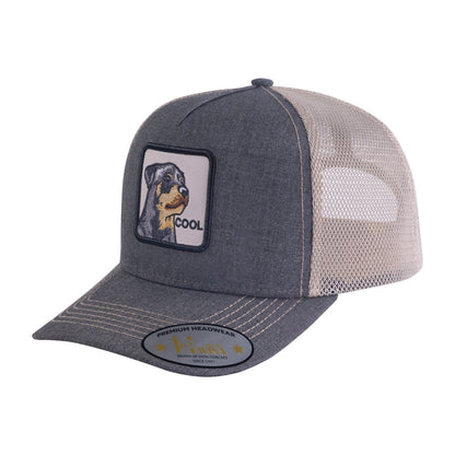 Cool Dog 5-Panel Trucker Hat with Dark Grey front and Khaki back