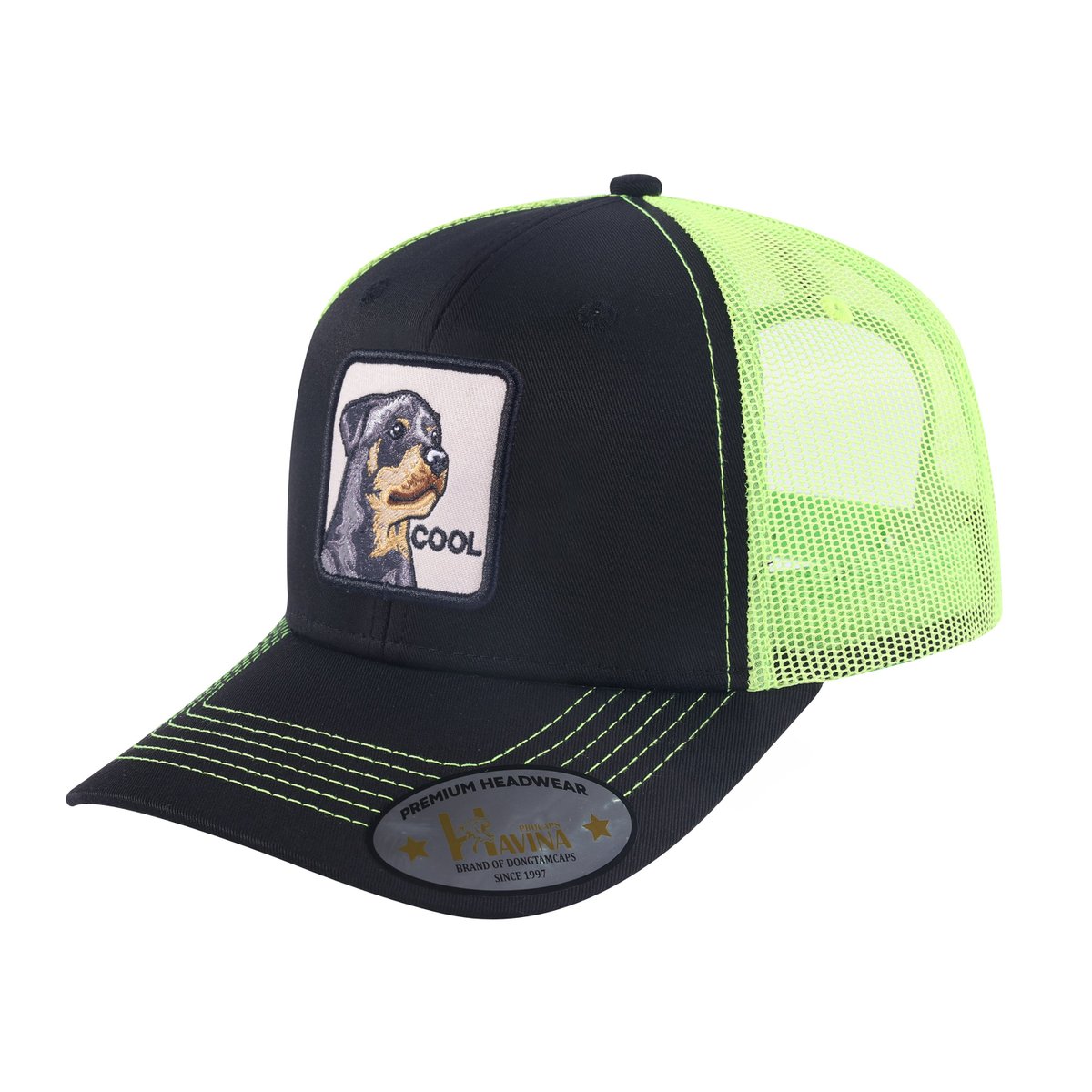 Cool Dog 6-Panel Trucker Hat with Black front and Green back