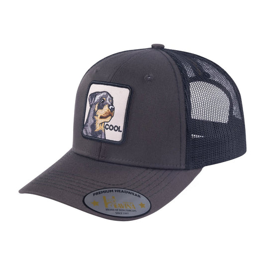 Cool Dog 6-Panel Trucker Hat with Dark Grey front and Black back
