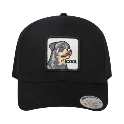 Cool Dog 6-Panel Microfiber Laser Hole Trucker Hat with Black front and Black back