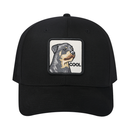 Cool Dog 6-Panel Microfiber Laser Hole Trucker Hat with Black front and Black back