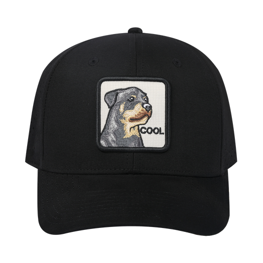 Cool Dog 6-Panel Microfiber Laser Hole Trucker Hat with Black front and Black back