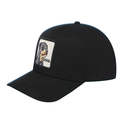 Cool Dog 6-Panel Microfiber Laser Hole Trucker Hat with Black front and Black back