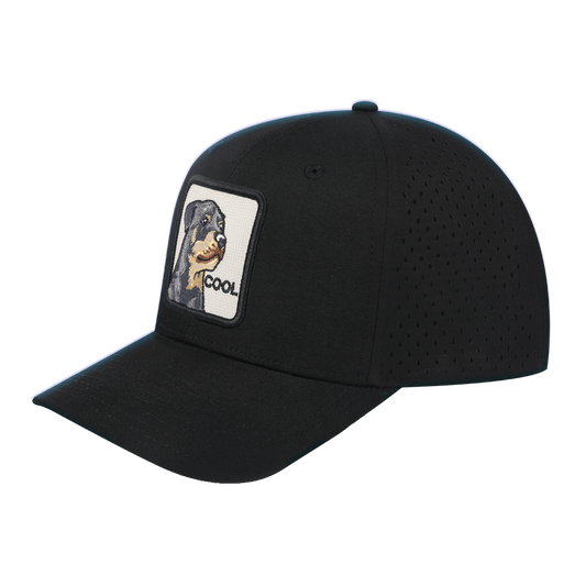 Cool Dog 6-Panel Microfiber Laser Hole Trucker Hat with Black front and Black back