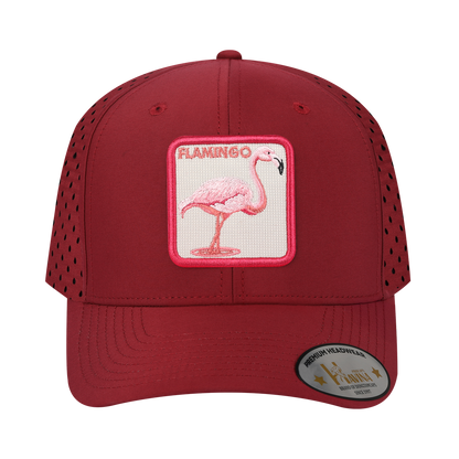 HAVINA WHOLESALE